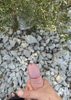 IMG_5425.jpeg