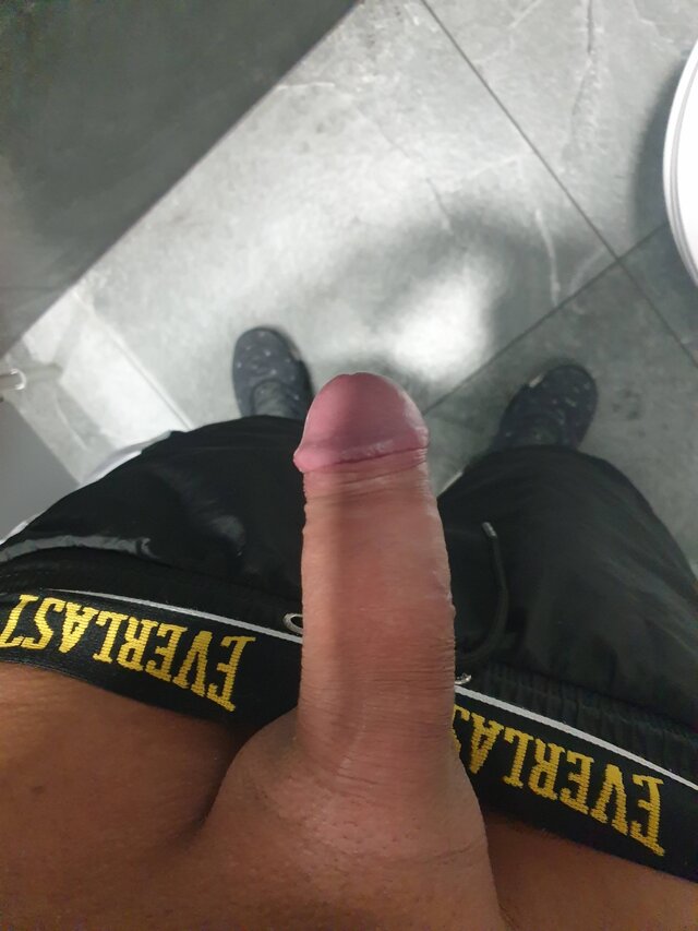 sansebestian