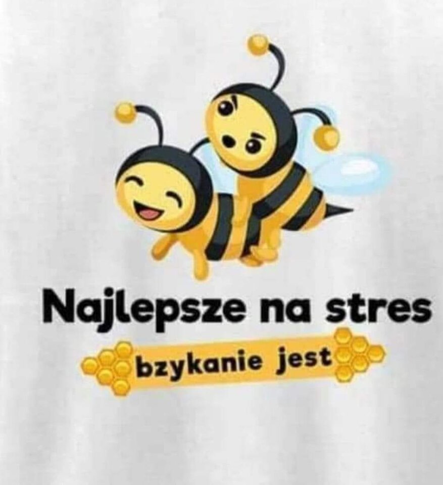 277676467_5145556542167187_8798502114559086885_n.jpg - bodzio913