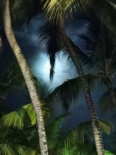 IMG_20210621_011743.jpg