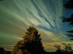 IMG_20210527_013107.jpg
