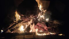 IMG_20240906_225328.jpg