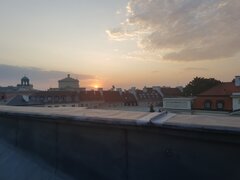 20240906_061057.jpg