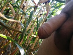 IMG_20240907_155922.jpg