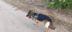 20240908_072527.jpg