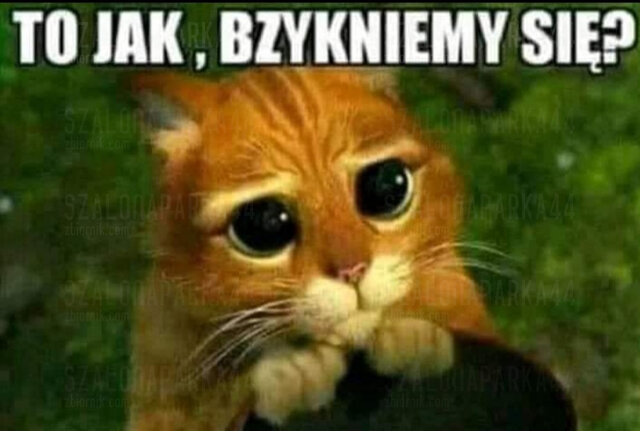 SzalonaParka44