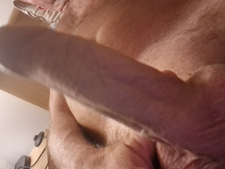 1000016568.jpg - Robertrober