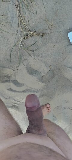 1000022221.jpg