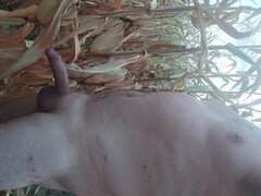 20240908_190508.jpg