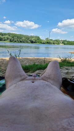 20240627_111731.jpg