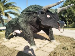 IMG20240907172434.jpg