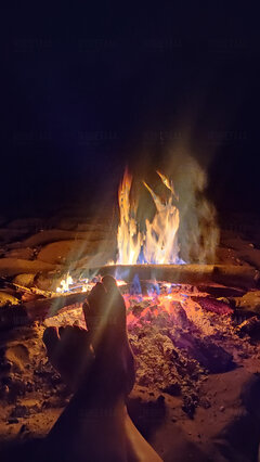 IMG_20240817_032635.jpg