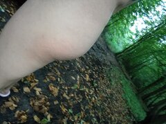 IMG_20240910_181737.jpg