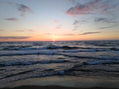 IMG_20240713_212126375.jpg