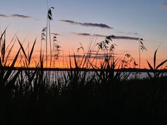 20240622_214323.jpg