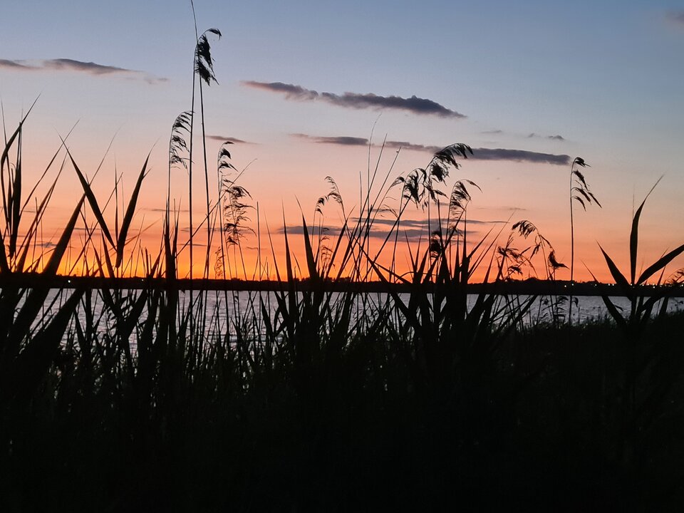 20240622_214323.jpg - Ciekawiswiata555