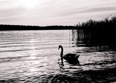 20240609_192004.jpg