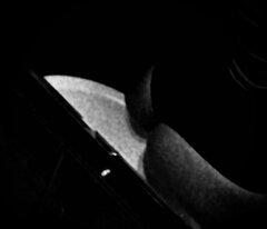 IMG_2918.jpeg