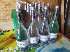 IMG_20240907_143112.jpg