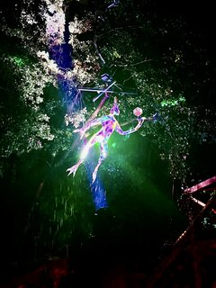 7A32EE30-228A-48D6-BC16-25882CD0E38F.jpeg