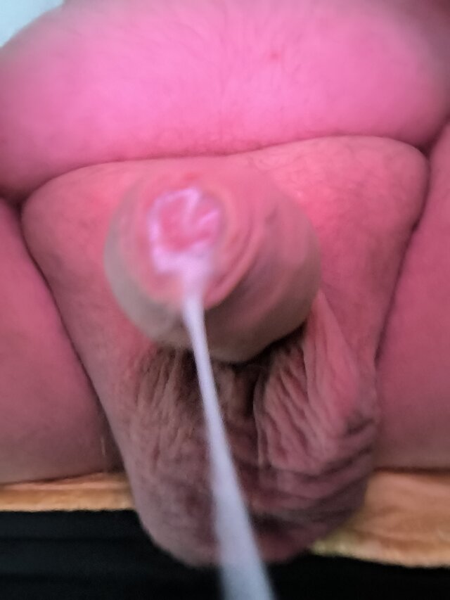 jajaReno