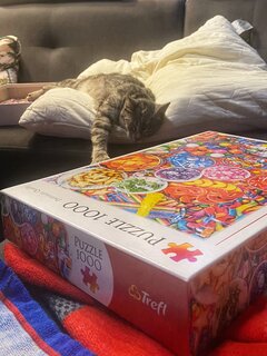 🫣🐈‍⬛