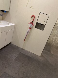 IMG_6611.jpeg