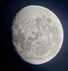 🌚