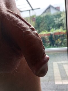 1000008006.jpg