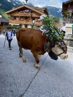 IMG_6663.jpeg