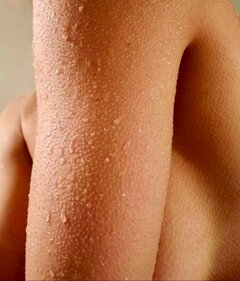 IMG_20240916_112105.jpg