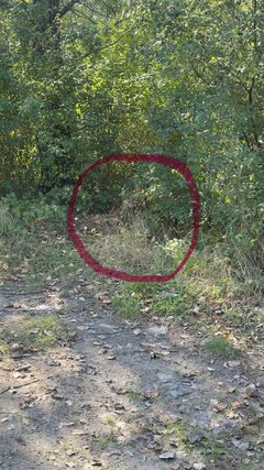 IMG_0953.jpeg