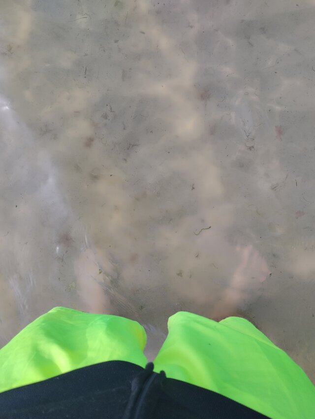 flimamigo
