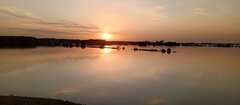 IMG_20240917_183602_768.jpg