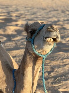 IMG_3673.jpeg
