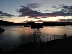 IMG_20181107_074726.jpg