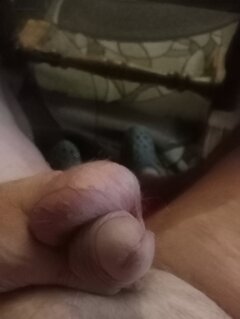 IMG20240918232051.jpg