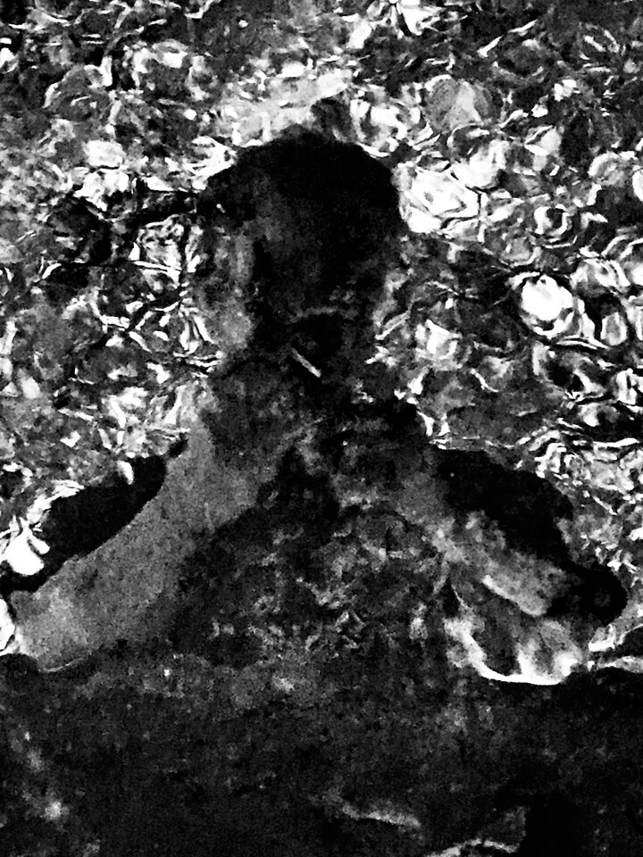 2845CE6D-802D-4CBA-B1C5-093A83B02157.jpeg - erwu73