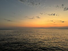IMG_8717.jpeg