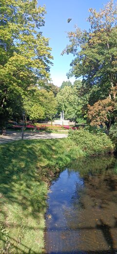 IMG_20240920_125911.jpg