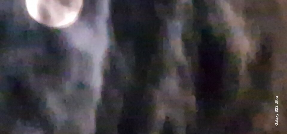 1000014350.jpg - Garboli