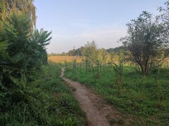 IMG_20240902_181757.jpg