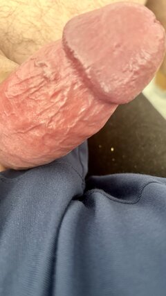 IMG_2377.jpeg