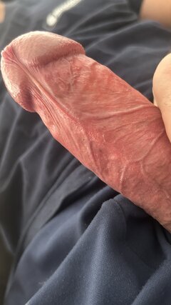 IMG_2374.jpeg