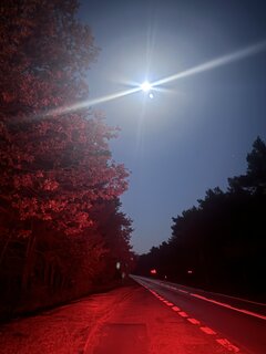IMG_1824.jpeg