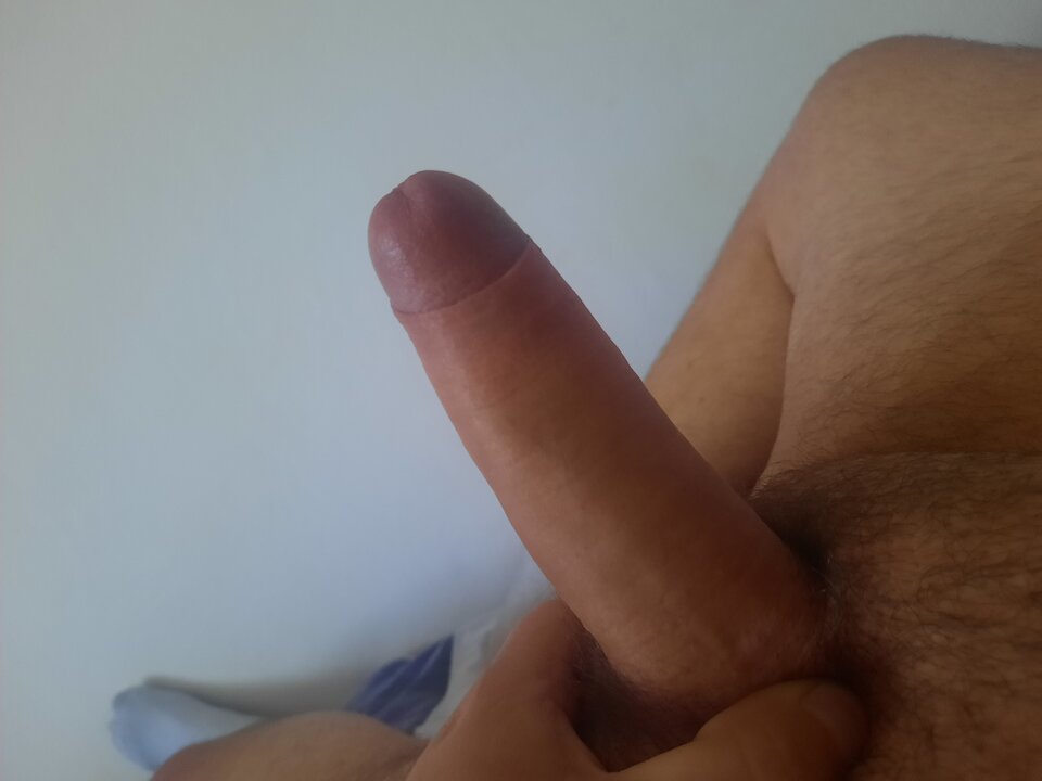 attach.jpeg - chetnywolny94