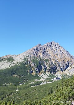 IMG_20240922_134147.jpg