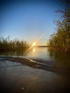 IMG_8782.jpeg