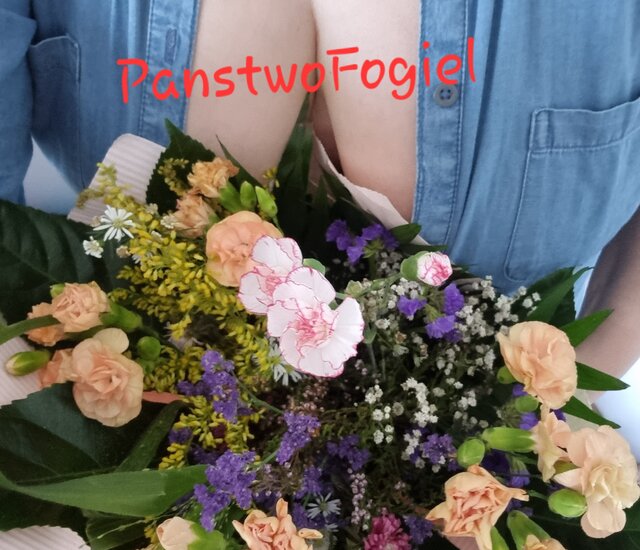 PanstwoFogiel