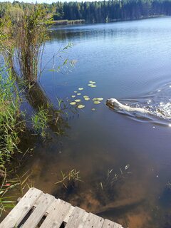 IMG_20240922_144544_416.jpg